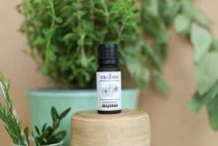 Karseifen Verkäufe -Karseifen Verkäufe 20210321 CR EN 280