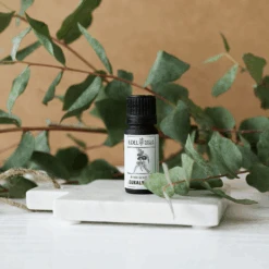 Karseifen Verkäufe -Karseifen Verkäufe KSArtikelbilderWebshop 3 27b4f503 721c 43e5 b5b7 ab245a599476